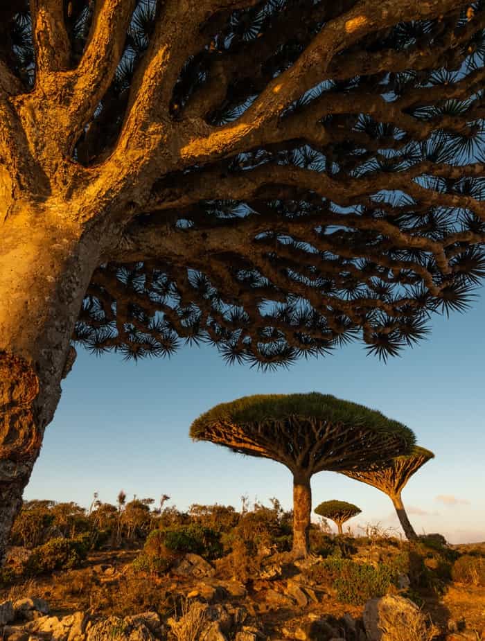 Dixam Plateau
